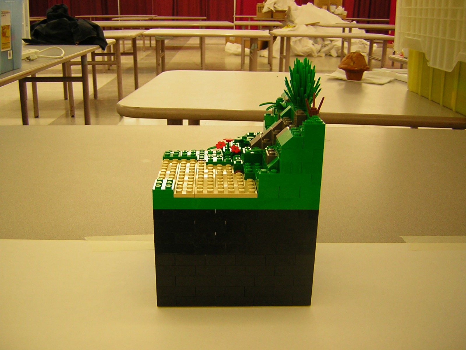 dscn5157.jpg