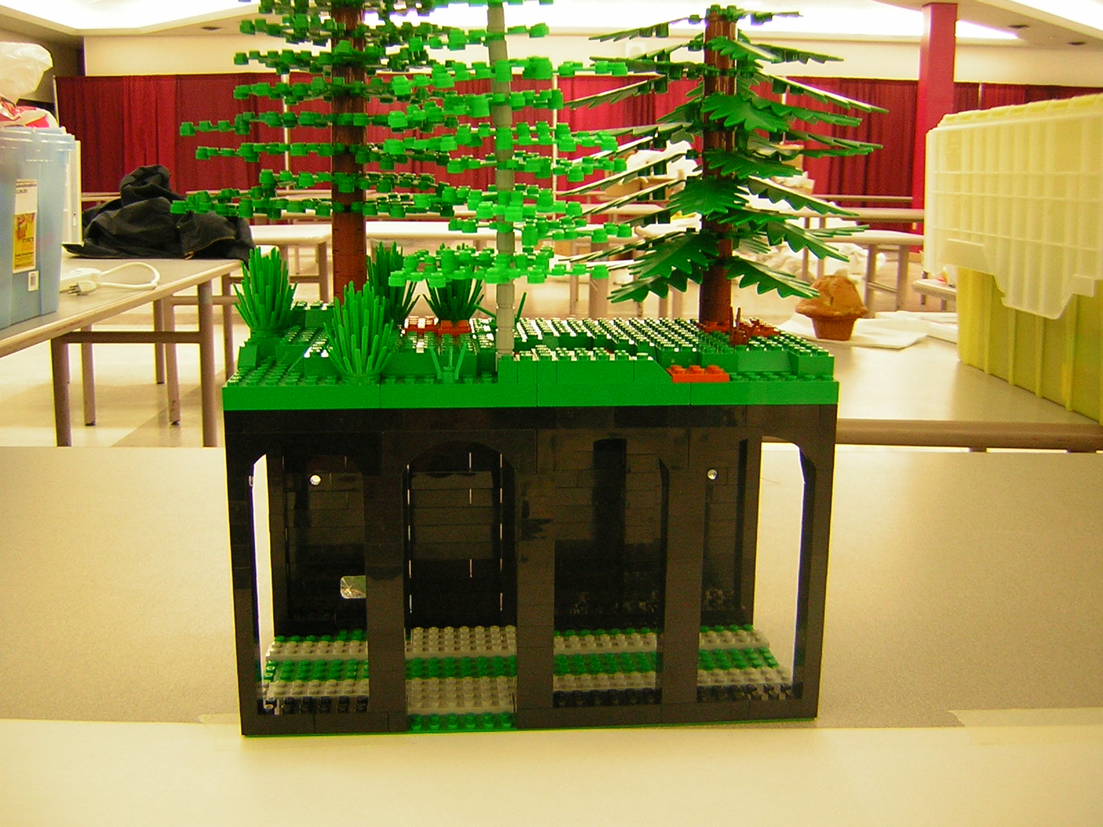 dscn5160.jpg