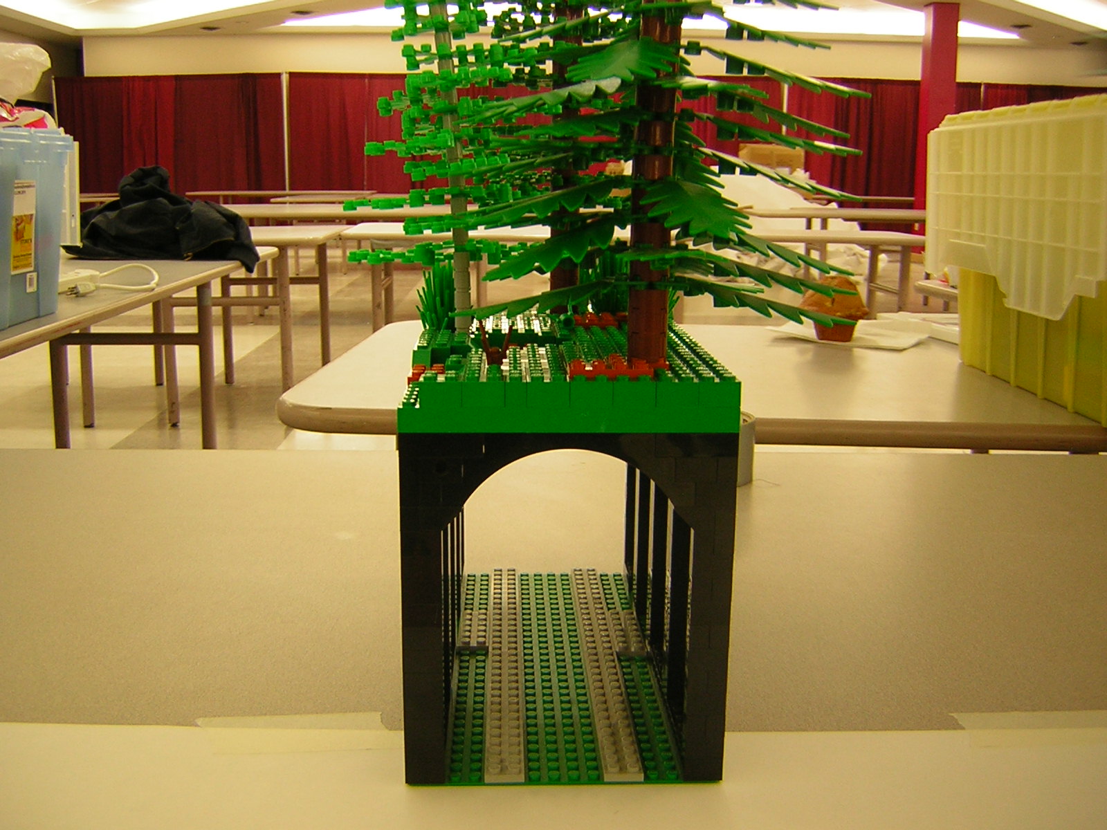 dscn5161.jpg