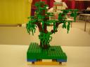 dscn5002.jpg