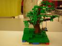 dscn5003.jpg