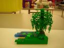dscn5005.jpg