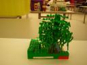 dscn5006.jpg