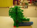 dscn5007.jpg