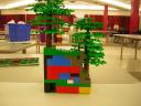 dscn5021.jpg