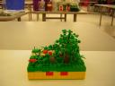 dscn5061.jpg