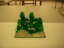 dscn5073.jpg