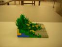 dscn5076.jpg