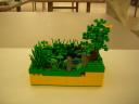 dscn5079.jpg