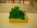 dscn5080.jpg