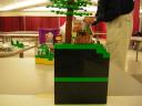 dscn5083.jpg