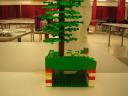 dscn5088.jpg