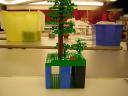 dscn5112.jpg