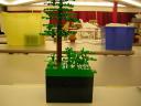dscn5113.jpg