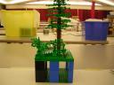 dscn5114.jpg