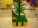 dscn5119.jpg