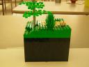 dscn5133.jpg