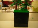 dscn5142.jpg