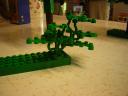 dscn3976.jpg
