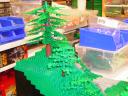 dscn4672.jpg