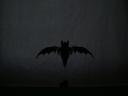 batman-logo-4.jpg