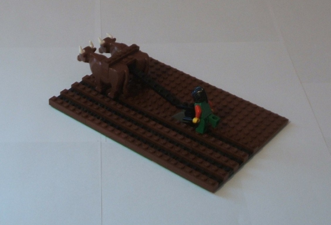 ploughing-with-oxen-2.jpg