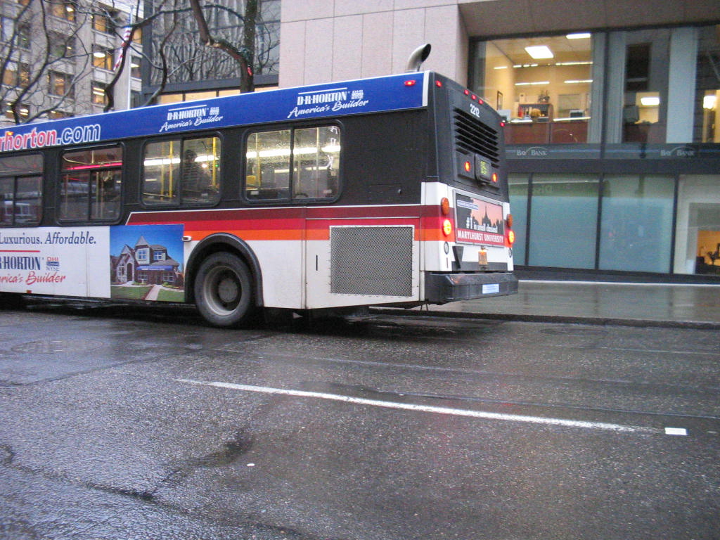portland30035.jpg