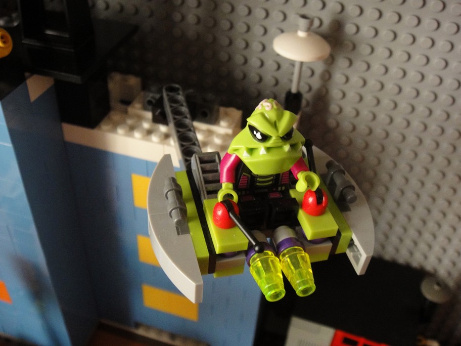 z019.jpg