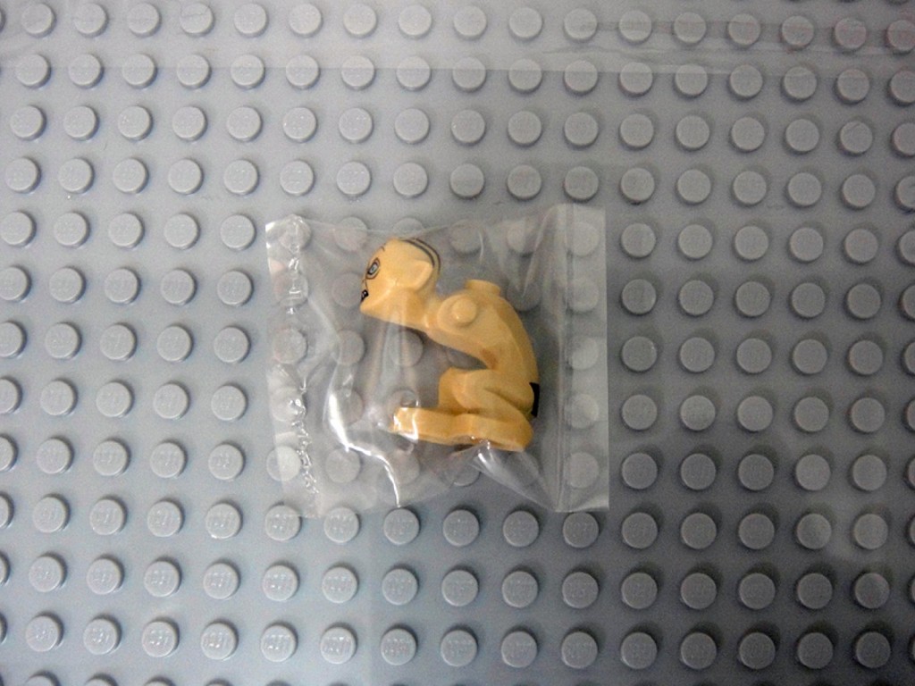 07.jpg