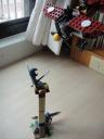 dsc01260.jpg