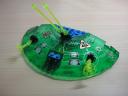 dsc00488.jpg