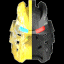 mask_002.gif