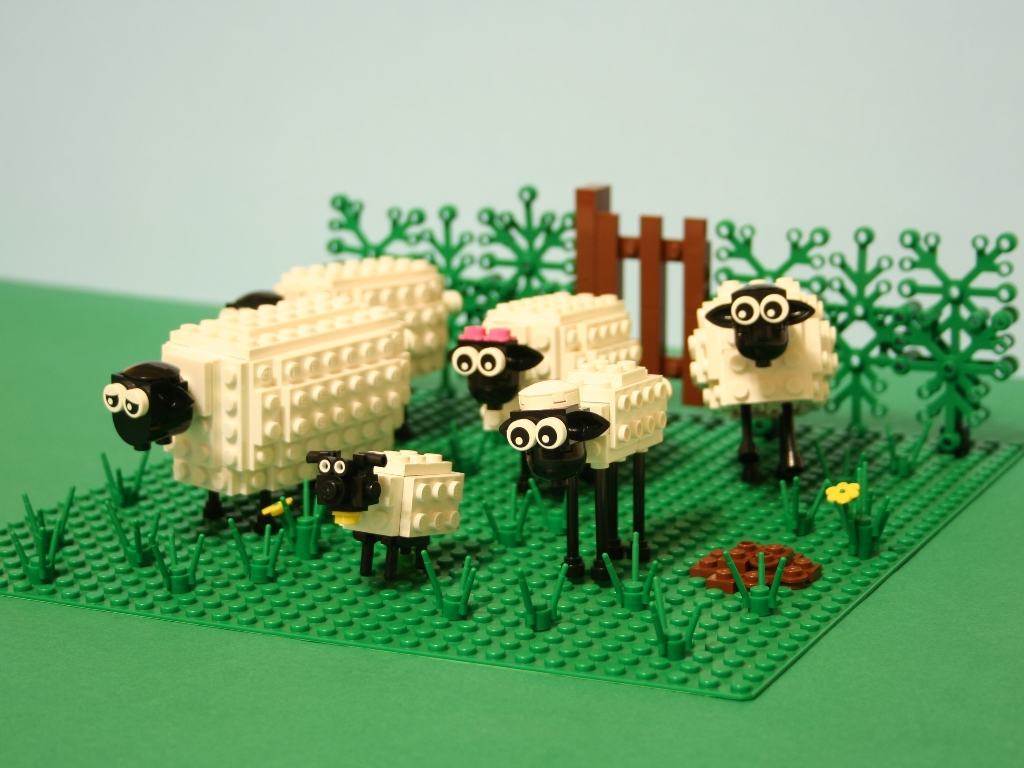 sheepyard1.jpg