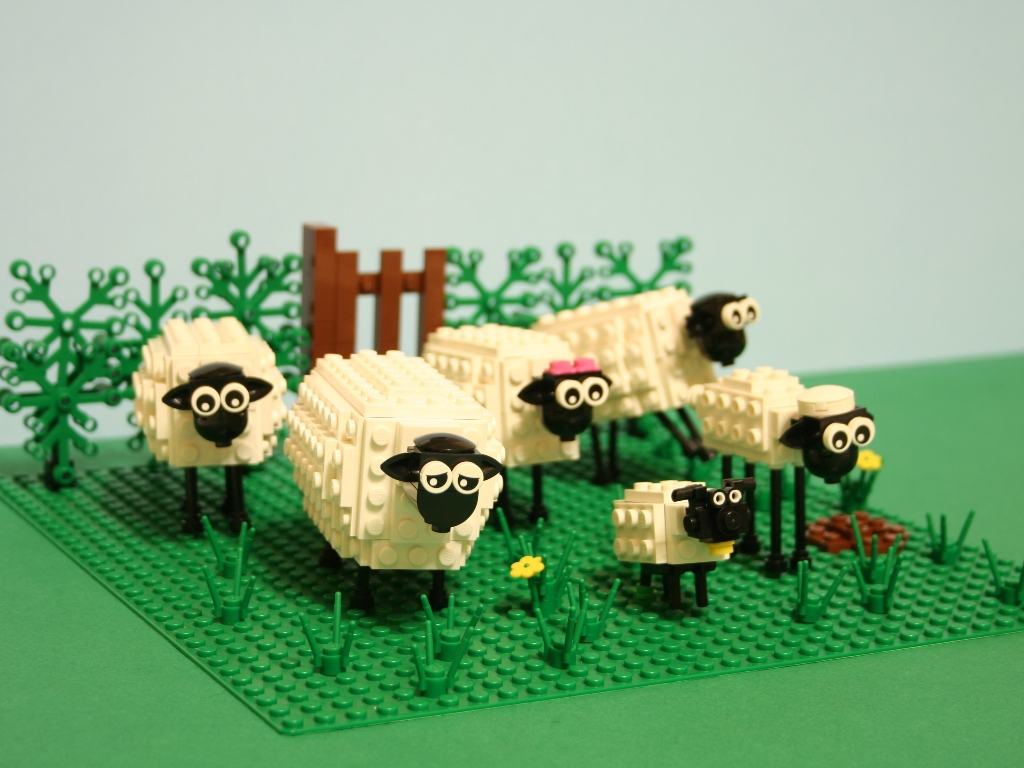 sheepyard3.jpg