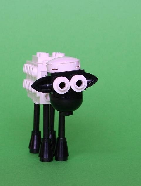 22_shaun.jpg