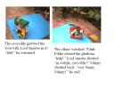 slide24.jpg