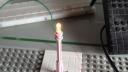dsc00222.jpg