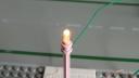 dsc00223.jpg