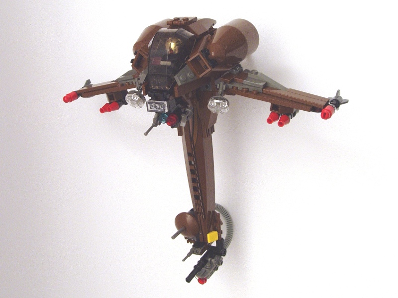 hk009ahornbird10.jpg
