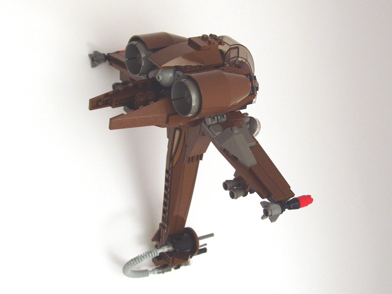 hk009ahornbird12.jpg