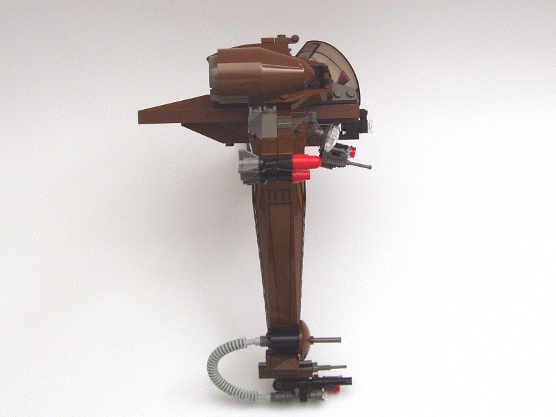 hk009ahornbird16.jpg