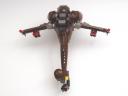 hk009ahornbird08.jpg