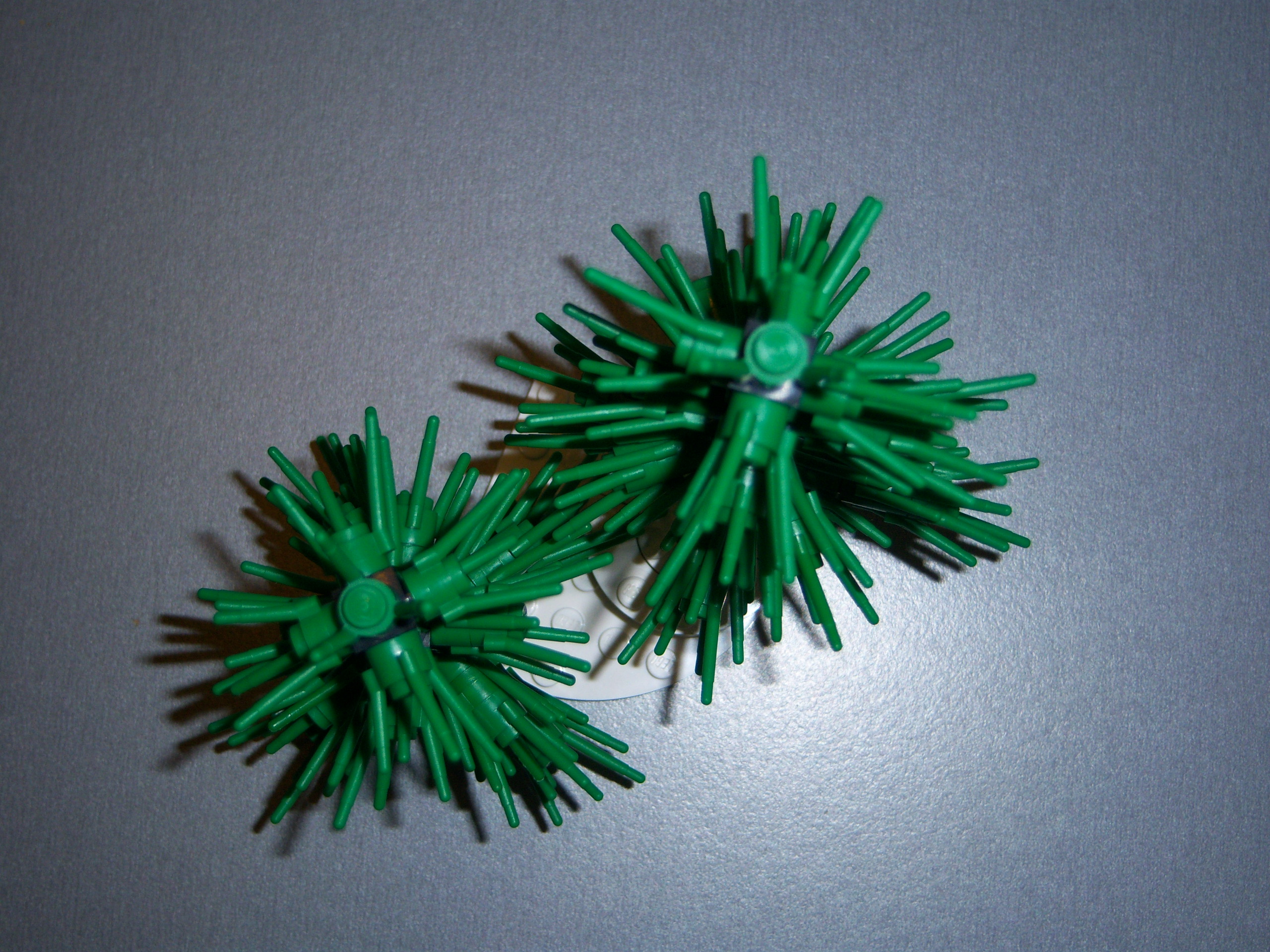 sparreboom02.jpg