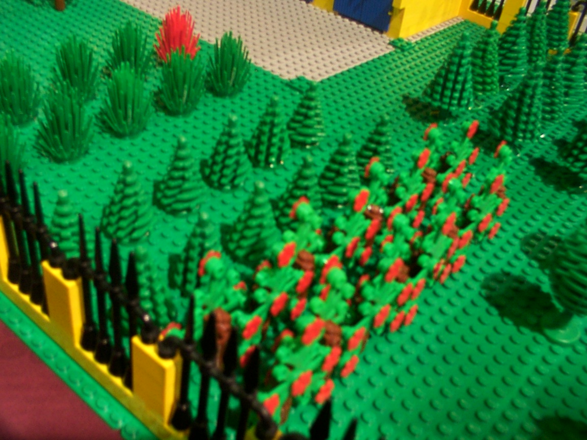 035.jpg