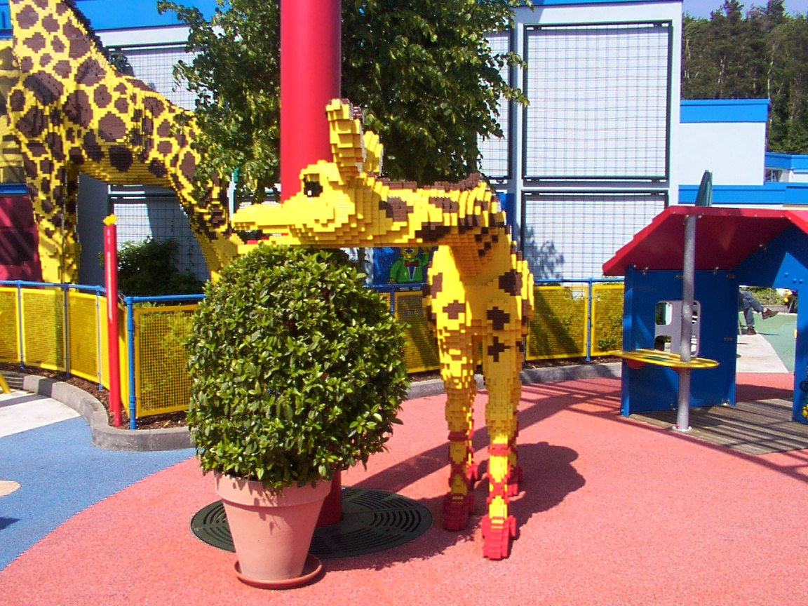 135.jpg