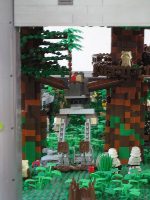 111_endor.jpg