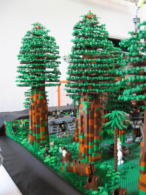 112_endor.jpg