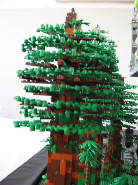 113_endor.jpg