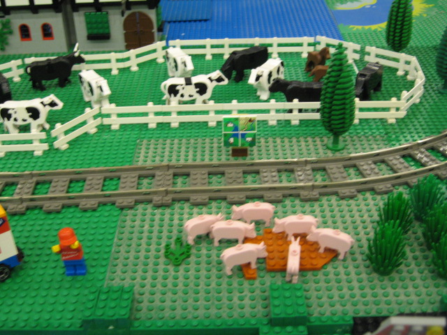 166.jpg