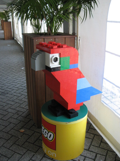 246.jpg